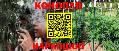 спайс Будённовск
