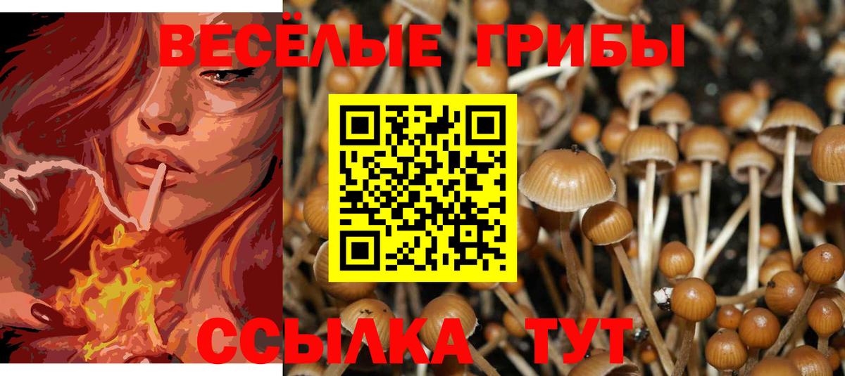 Славянск-на-Кубани  Псилоцибиновые грибы Psilocybine cubensis  Вход с VPN 