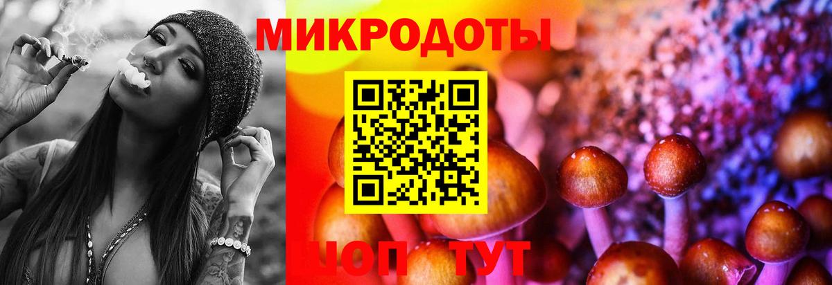 Галлюциногенные грибы Cubensis Славянск-на-Кубани